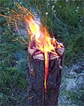 Baumfackel -auch Schwedenfeuer genannt