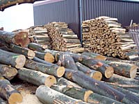 Holzverkauf - lassen Sie sich ein Angebot machen!